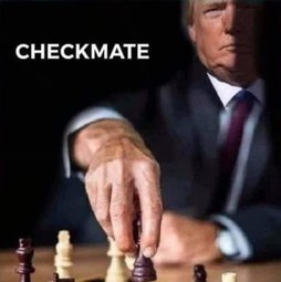 checkmate_trump.jpg