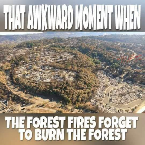 Cali_Forest_Fires.png