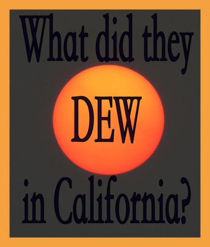 What_Did_They_DEW_In_California.jpg