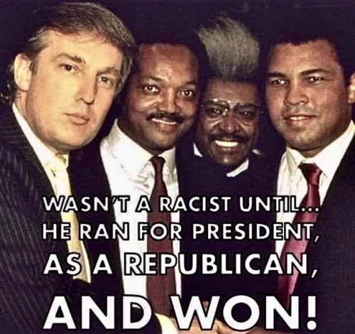 Trump_Not_Racist.jpg