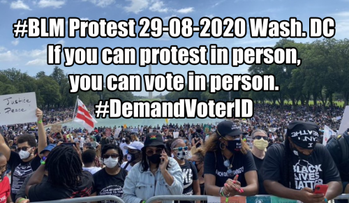 BLMprotest-demand-voterid.png