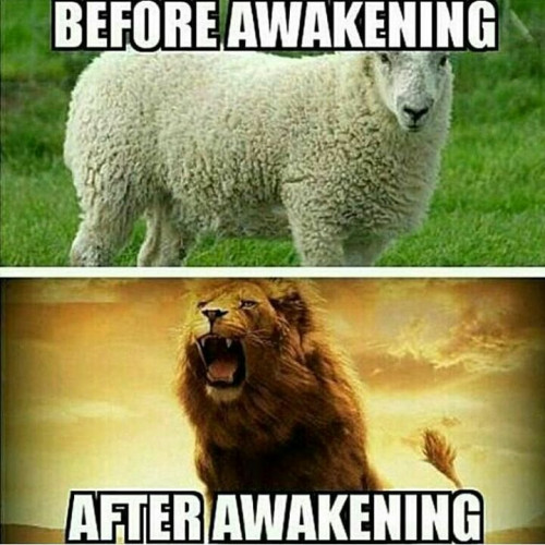 Sheep_Before_Awakening_Lion_After.jpg