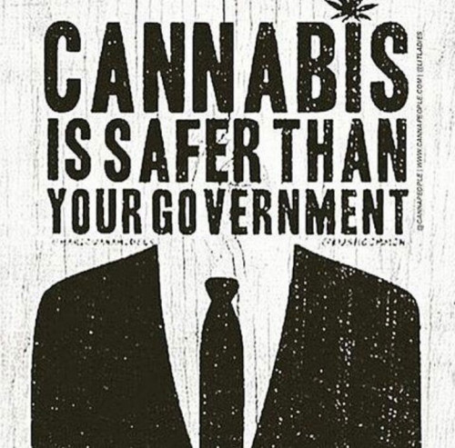 Cannabis_Safer_than_Government.jpg