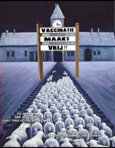 Vaccinatie_Maakt_Vrij_Schapen.jpg
