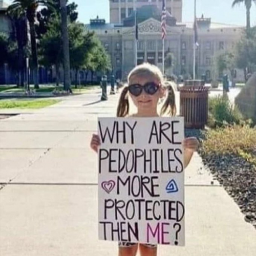 Why_Pedophiles_Protected.png
