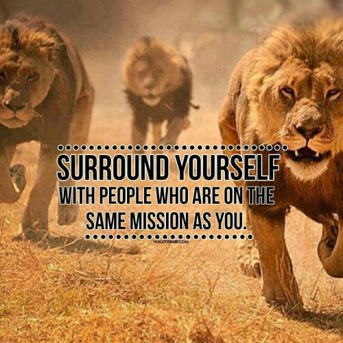 Lions_Surround_Yourself_With_People_On_Same_Mission.jpg