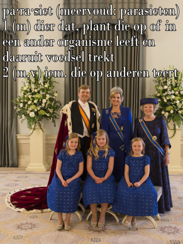 huis-van-oranje-parasiet.jpg