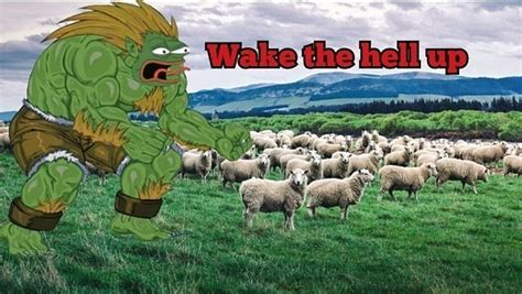 Sheeple_Wake_The_Hell_Up_Pepe_Angry.png