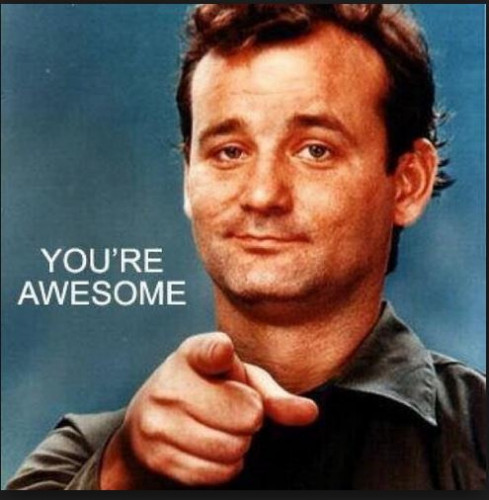 You-re_Awesome_Bill_Murray.jpg