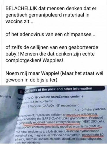 COVID_Vaccin_Bijsluiter_Chimpansee_Foetus_Wappies.jpg