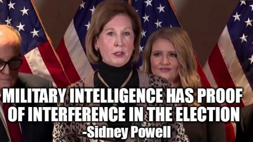 Sidney_Powell_MI_Has_Proof_of_Interference.jpg
