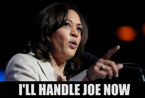 Kamala_Harris_I-ll_Handle_Joe_Now.jpg