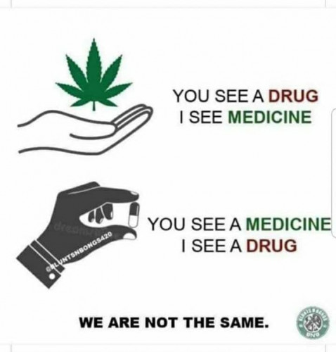 Cannabis_Drug_Medicine.jpg