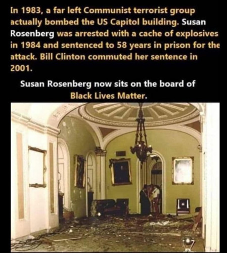 BLM_Susan_Rosenberg_Terrorist.jpg