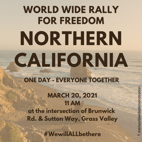 Worldwide_Rally_20_March_2021_US_Northern_California.jpg