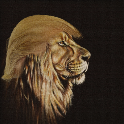 Trump_Lion_Hairdo.png