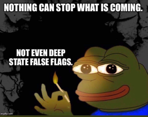 Nothing_Can_Stop_What_Is_Coming_Pepe_Deep_State_False_Flags.jpg
