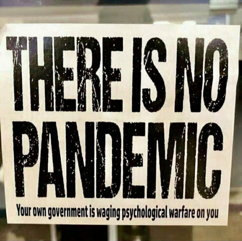 There_Is_No_Pandemic_Gov_Psyop.jpg