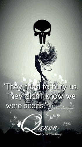 Qanon_anim_Seeds.gif