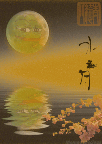 Pepe_Moon_Shining_Sea_Chinese_Anim.gif