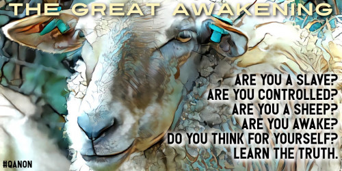 GreatAwakening_Are_You_A_Sheep.jpg