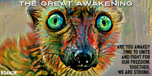 GreatAwakening_Are_You_Awake.jpg