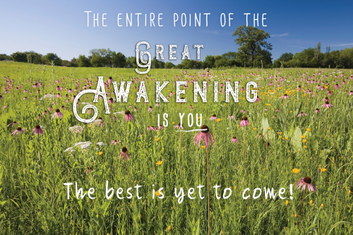 Great_Awakening_You.png