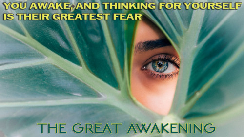 GreatAwakening_You_Awake_Is_Their_Greatest_Fear.jpg