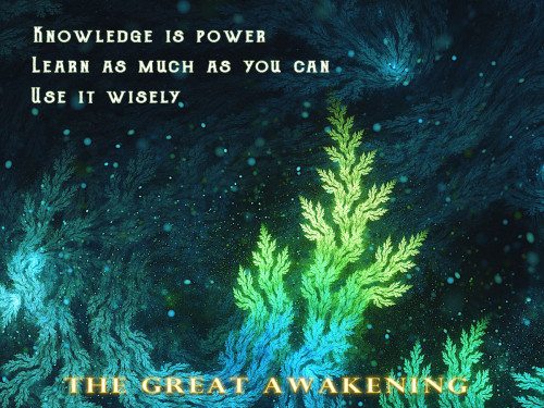 GreatAwakening_Knowledge_IsPOwer_Use_It_Wisely.jpg
