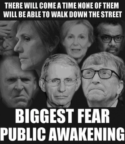 Biggest_Fear_Public_Awakening.png